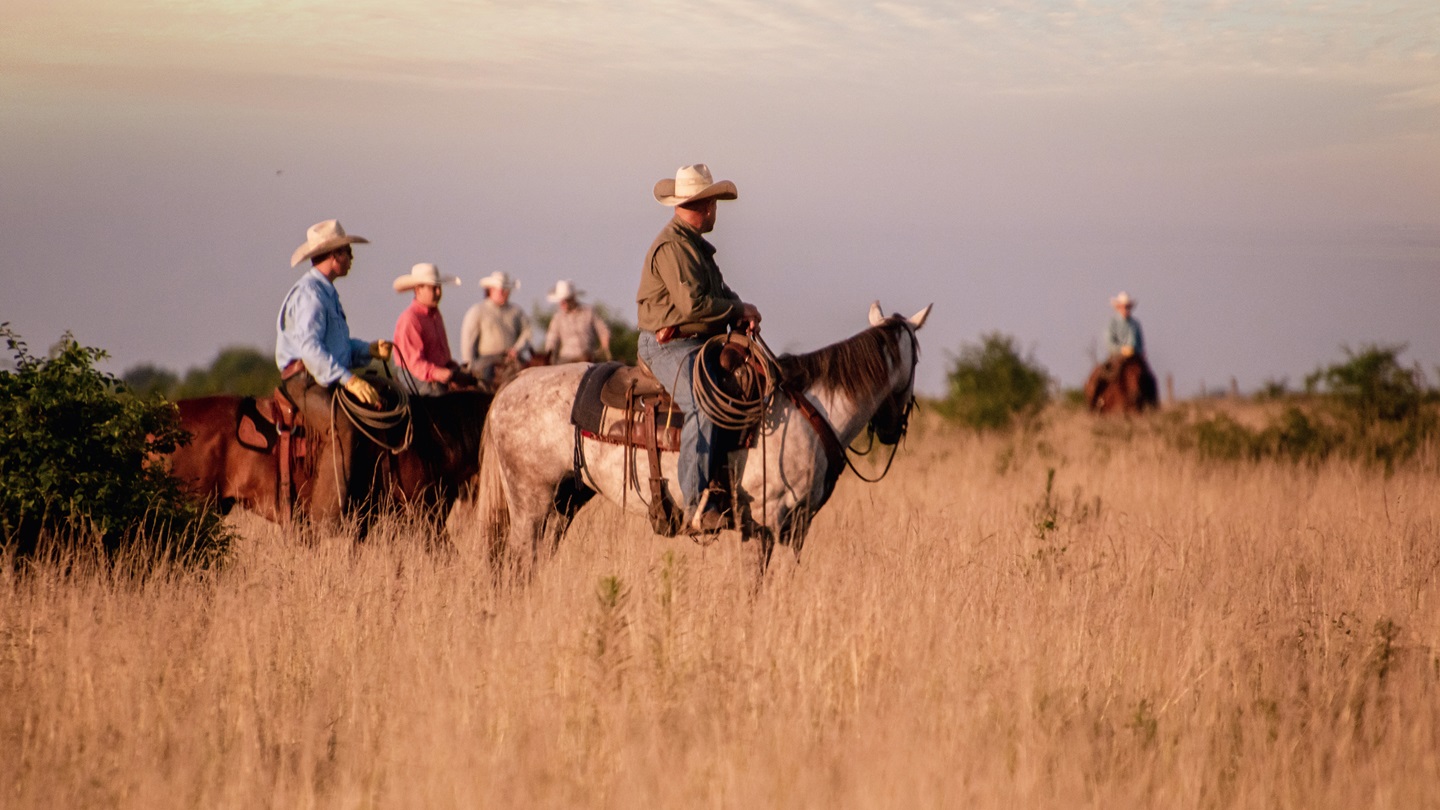 Horseback