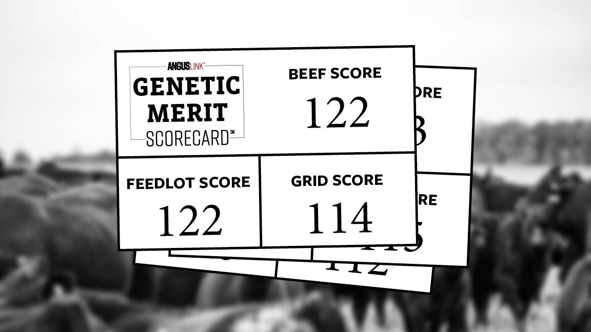 genetic merit scorecard