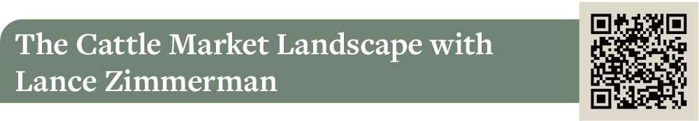 The Cattle Market Landscape with Lance Zimmerman