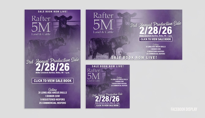 Rafter 5m digital campaign Designed by Angus Media