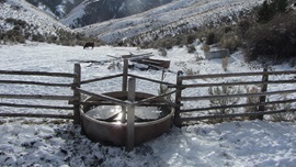 H Author Heather Smith Thomas and her family installed a fenceline waterer, capturing water from a spring to serve two mountain pastures during fall/winter grazing. The water flows fast enough it doesn’t freeze up. Even if the rest of the surface freezes, where the inflow pipe dumps water in, the surface stays open. 