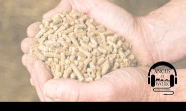 Feed additive pellets.