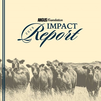 Cover of the Angus Foundation 2025 Impact Report featuring a herd of Angus cattle standing in pasture beneath the report title.