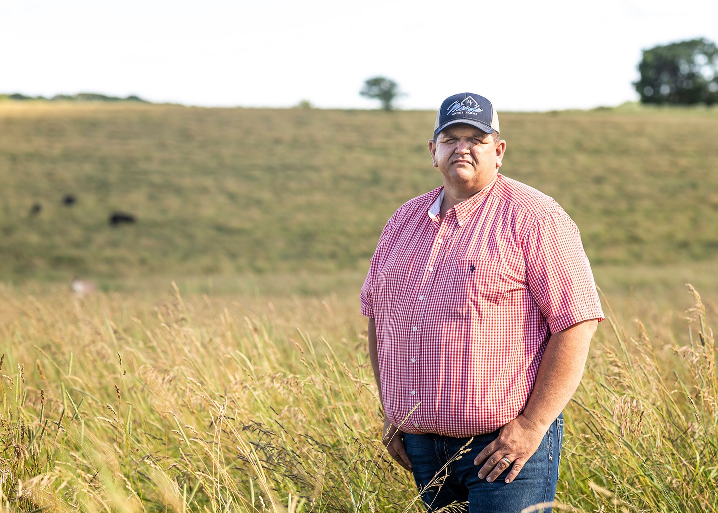 Cody Quam of Marda Angus Farm in Lodi, Wisconsin awarded Young Breeder of the Year by the American Angus Association.