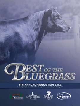 Best of the Bluegrass