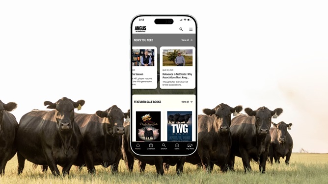 The new Angus Mobile App features sleek design and functionality for users.