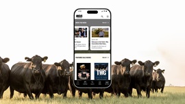 The new Angus Mobile App features sleek design and functionality for users.