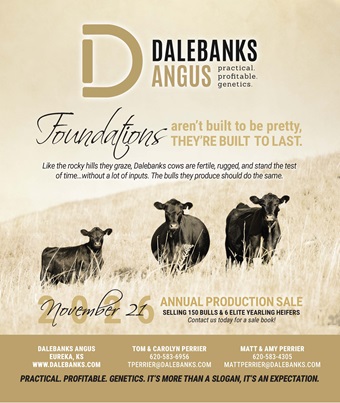 Dalebanks BB 09-26