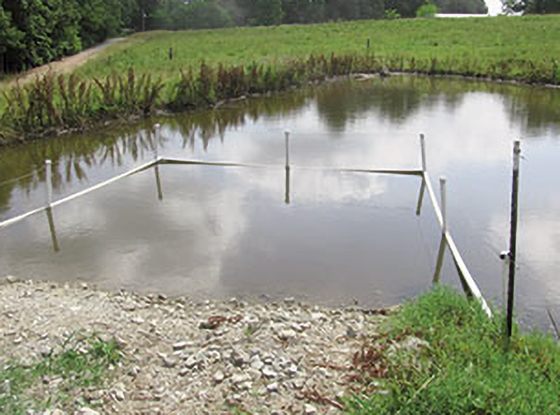 pond fencing