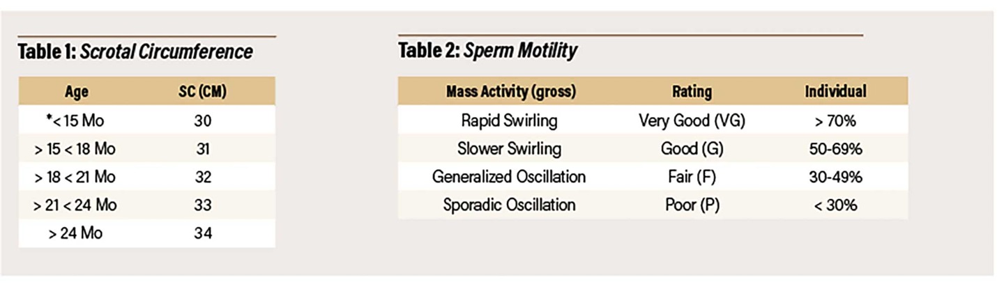 Two tables showing scrotal circumference and sperm motility