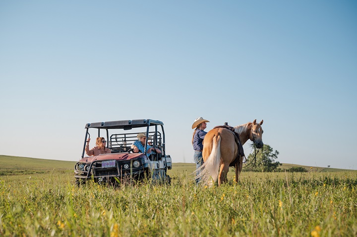 out in the pasture