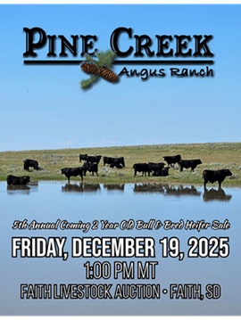 Pine Creek Ranch