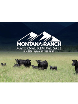 Montana Ranch Sale Book