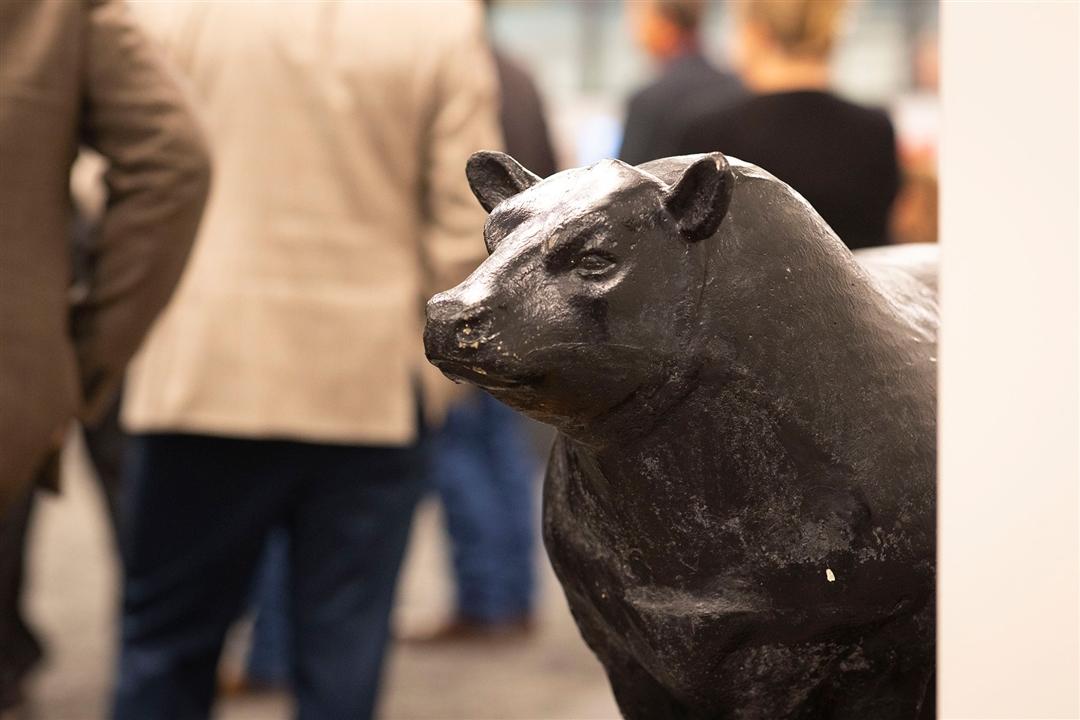 A bronze Angus bull status stands in the American Angus Association office headquarters.