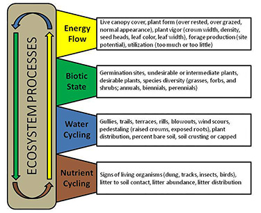 nutrient cycling