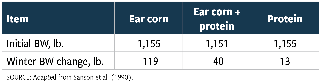 Table 1: Late gestation body weight change of cows supplemented with corn only, corn and a protein supplement, or a protein supplement only