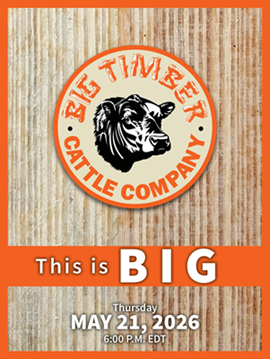 Big Timber Sale Book Cover