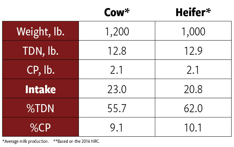 Table 1: Comparison of feed requirements of mature cow and first-calf heifer**