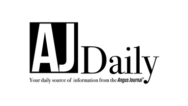 AJ Daily Logo