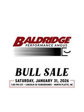 Baldridge Performance Sale Book Cover