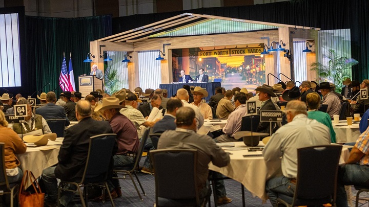 A large group of delegates gathered at the Angus Convention.