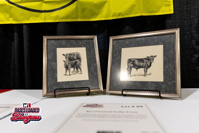 Pair of framed black-and-white cattle artwork prints displayed as silent auction items.