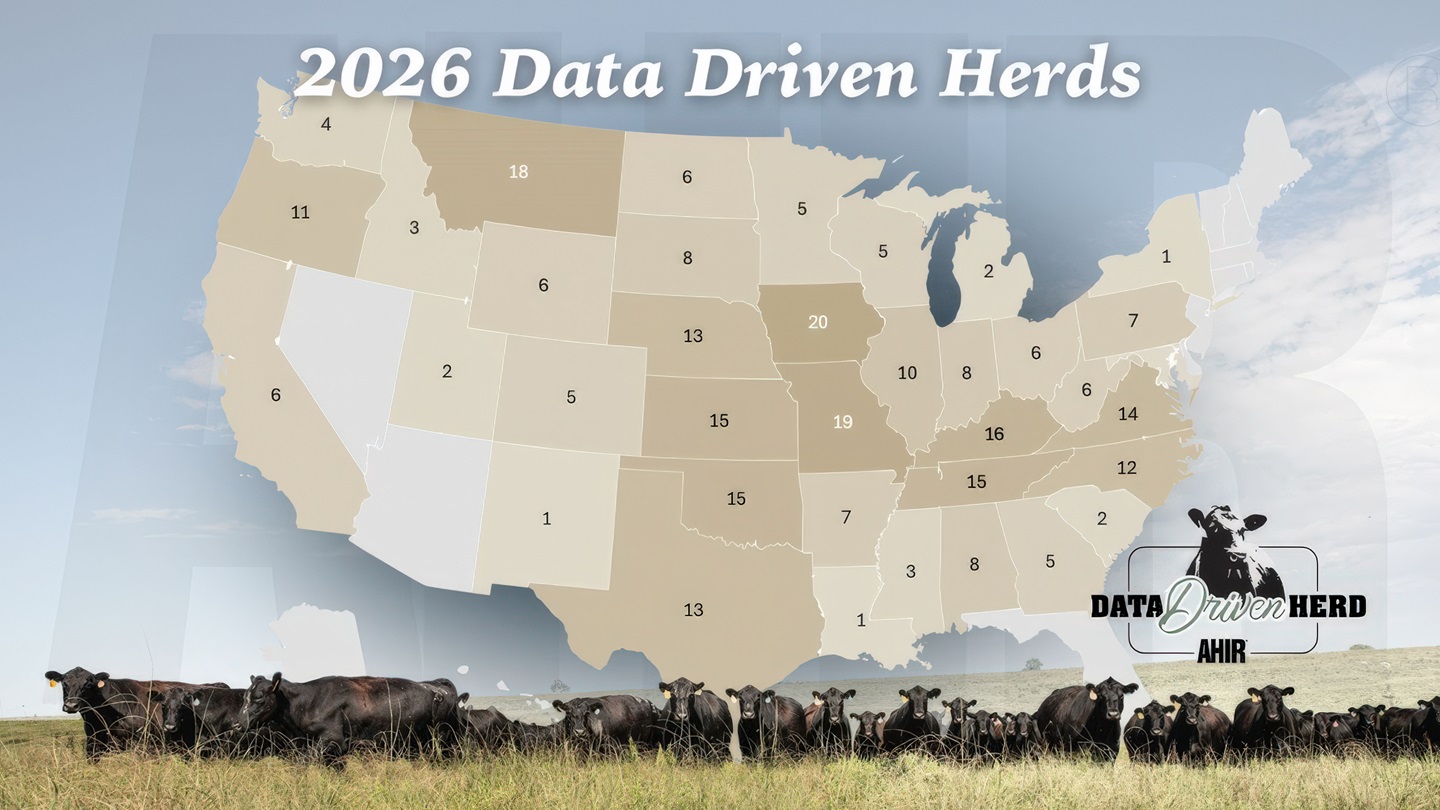 Data Driven Herds