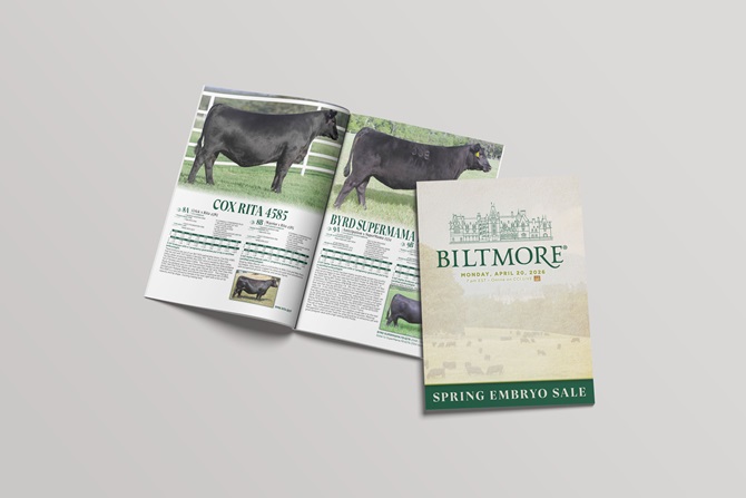 Biltmore Sale Book Designed by Angus Media