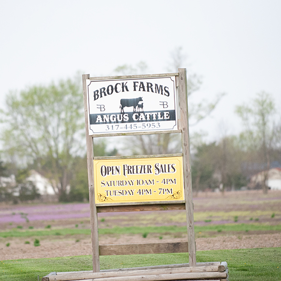 Brock Farms Angus Cattle farm sign
