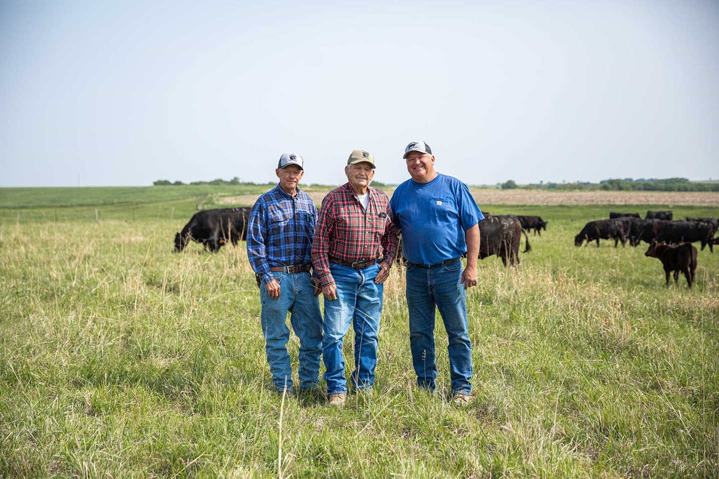 Three men stand in a field with Angus cattle behind them