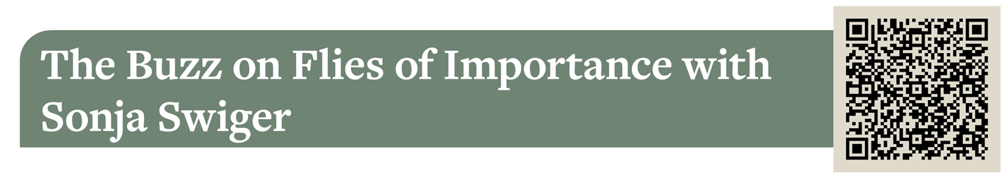 Buzz-Flies-Importance-Sonja-Swiger