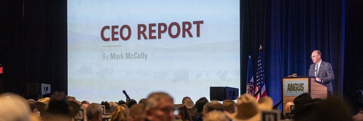Mark McCully presents the CEO Report at the Annual Angus Convention.
