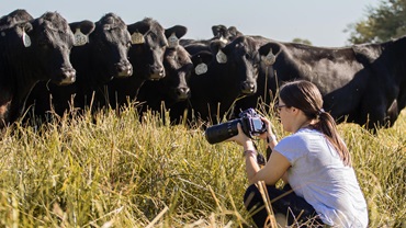 cattlephotography16x9