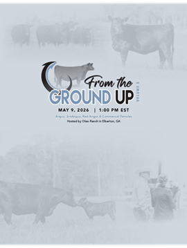 From the Ground Up Sale Book Cover
