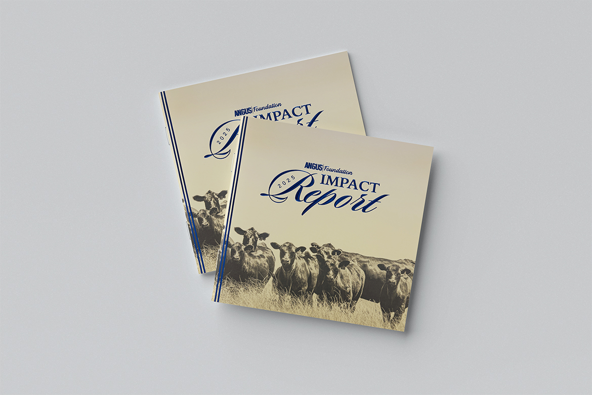 Impact Report mockup