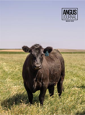 Current Angus Journal Issue Cover
