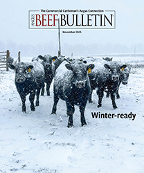 November 2025 ABB cover