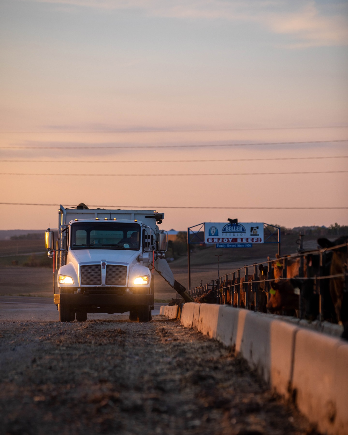 The feedyard feeds one time per day at 6 a.m., guided by Terry’s leadership and the counsel of a feedyard nutritionist.