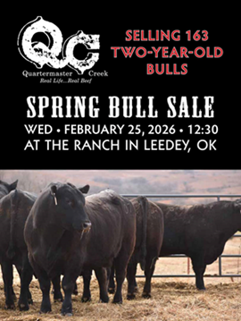 Quartermaster Creek Sale Book Cover