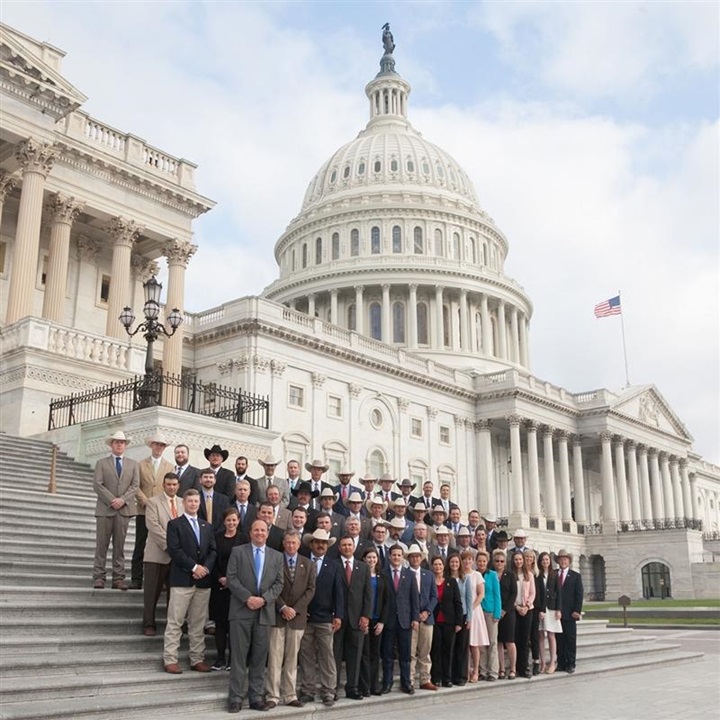 A group of YCC attendees standing on the steps of the capital in Washington, D.C.