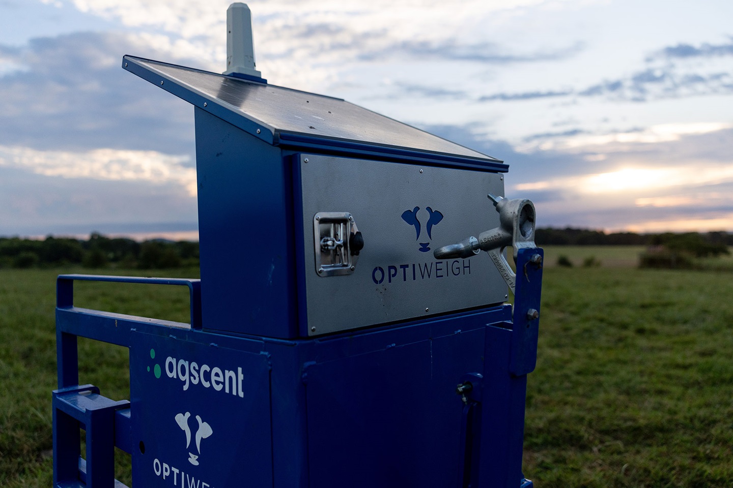 Examples of an Optiweigh portable unit for cattle as seen in Tennessee. Photo by H. Harbin, courtesy UTIA.