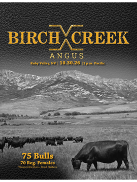 Birch Creek Angus Sale Book