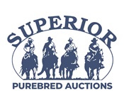 Superior Purebred Auctions logo