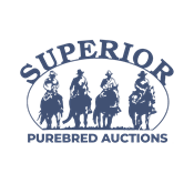 Superior Purebred Auctions logo