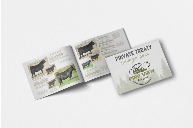 Pine View Farm Sale Book Designed by Angus Media