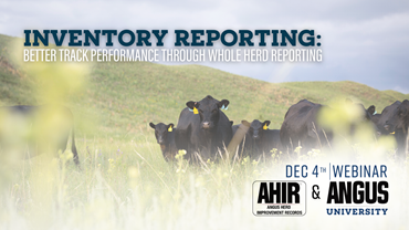  New Angus University Webinar explains AHIR’s Inventory Reporting program.   