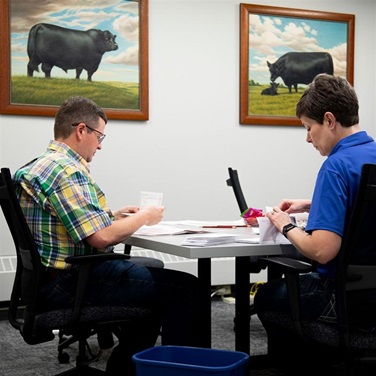 A man and woman sit in an office at American Angus Association headquarters to count paper ballots submitted by members to elect delegates for the 143rd Annual Convention of Delegates.
