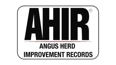 Angus Herd Improvement Records logo