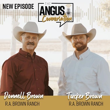 The Angus Conversation