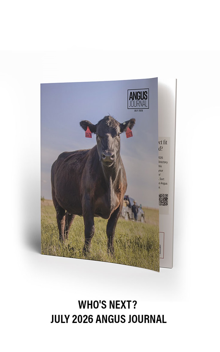 Angus Journal
